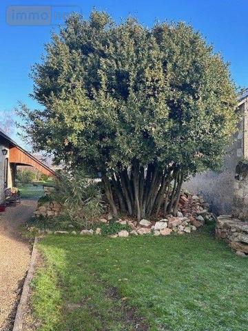 Maison à vendre à Baugé-en-Anjou dans le Maine-et-Loire (49150), ref : LB/2567 CAMPAGNE Maison à vendre à Baugé-en-Anjou dans le Maine-et-Loire (49150), ref : LB/2567 CAMPAGNE Maison à vendre à Baugé-en-Anjou dans le Maine-et-Loire (49150), ref : LB/2567 CAMPAGNE