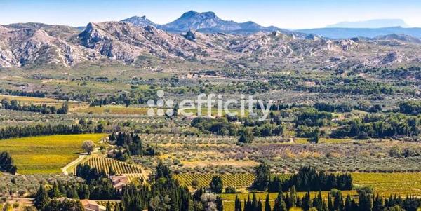 Local Commercial - 1100 m²