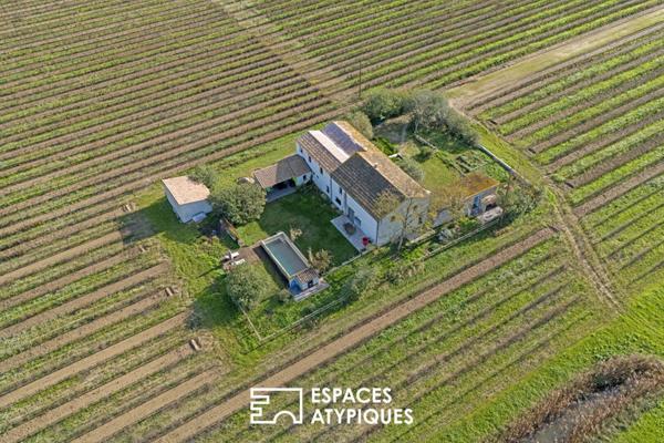 Mas rénové au Coeur des Vignes – 10 min Aigues Mortes