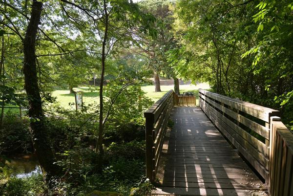 Achat maison Martignas-sur-Jalle - 7 pièce(s) - 190 m² - 675 000 €