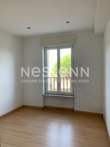 CARCASSONNE immeuble mixte avec local commercial libre et habitation T3 louée avec terrasse piscine