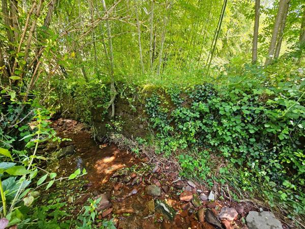 Collonges La Rouge : Moulin historique de 1690 avec gîte indépendant - Rentabilité & charme en Corrèze ! EXCLUSIVITE
