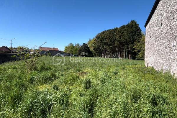 Un véritable écrin de nature au cœur de la ville .

Rare sur le secteur, cet ensemble foncier situé à Ferrière-la-Grande développe une superficie cadastrale totale de 20 703 m² (plus de 2 hectares) en zone naturelle (N) du Plan Local d'Urbanisme.  
Offrant un cadre verdoyant exceptionnel tout en étant à proximité immédiate des commerces, des écoles et des principaux axes, ce bien constitue une opportunité unique pour les amoureux de la nature, les porteurs de projets de loisirs ou les investisseurs recherchant un patrimoine foncier de qualité.

Ce terrain est ensemble comprenant une prairie, un bois de résineux et d’un sous-bois aux essences variées. 
Un accès direct par la route principale. Délimité côté rues par un magnifique mur en pierre et un ruisseau drainant le terrain.

UN TERRAIN AUX MULTIPLES POSSIBILITÉS : s
• Pâturage ou accueil d’animaux;
• Activités agricoles ou maraîchage compatibles avec la réglementation;
• Verger ou plantation d'arbres fruitiers;
• Apiculture;
• Activités de loisirs de pleine nature;
• Projets pédagogiques ou environnementaux;
• Préservation de la biodiversité ou gestion écologique du site.

LES POINTS FORTS :
• Plus de 20 700 m² de terrain;
• Situation rare en plein cœur de Ferrière-la-Grande;
• Environnement naturel et préservé;
• Accès facile;
• Idéal pour un projet compatible avec la zone naturelle.

Dossier cadastral disponible sur demande.