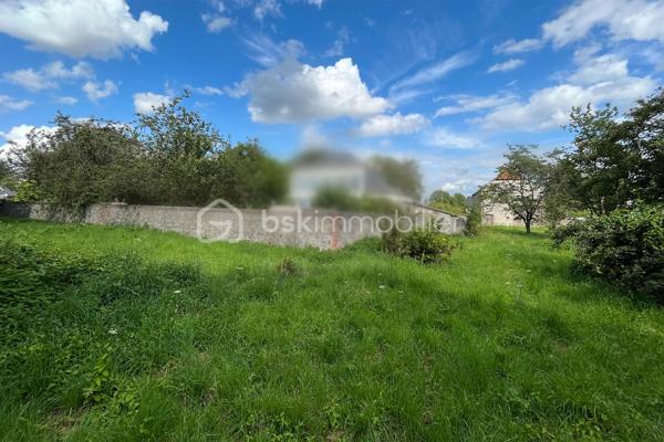 Un véritable écrin de nature au cœur de la ville .

Rare sur le secteur, cet ensemble foncier situé à Ferrière-la-Grande développe une superficie cadastrale totale de 20 703 m² (plus de 2 hectares) en zone naturelle (N) du Plan Local d'Urbanisme.  
Offrant un cadre verdoyant exceptionnel tout en étant à proximité immédiate des commerces, des écoles et des principaux axes, ce bien constitue une opportunité unique pour les amoureux de la nature, les porteurs de projets de loisirs ou les investisseurs recherchant un patrimoine foncier de qualité.

Ce terrain est ensemble comprenant une prairie, un bois de résineux et d’un sous-bois aux essences variées. 
Un accès direct par la route principale. Délimité côté rues par un magnifique mur en pierre et un ruisseau drainant le terrain.

UN TERRAIN AUX MULTIPLES POSSIBILITÉS : s
• Pâturage ou accueil d’animaux;
• Activités agricoles ou maraîchage compatibles avec la réglementation;
• Verger ou plantation d'arbres fruitiers;
• Apiculture;
• Activités de loisirs de pleine nature;
• Projets pédagogiques ou environnementaux;
• Préservation de la biodiversité ou gestion écologique du site.

LES POINTS FORTS :
• Plus de 20 700 m² de terrain;
• Situation rare en plein cœur de Ferrière-la-Grande;
• Environnement naturel et préservé;
• Accès facile;
• Idéal pour un projet compatible avec la zone naturelle.

Dossier cadastral disponible sur demande.