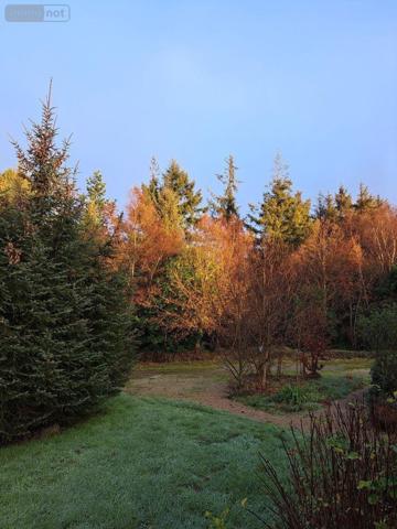 Propriete à vendre à Plestin-les-Grèves dans les Côtes-d'Armor (22310), ref : A37