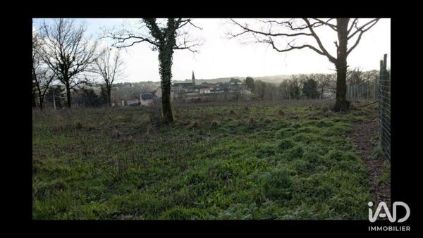 Murs commerciaux  à vendre 15 000 m² Montrevault-sur-Èvre
