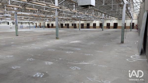Murs commerciaux  à vendre 15 000 m² Montrevault-sur-Èvre