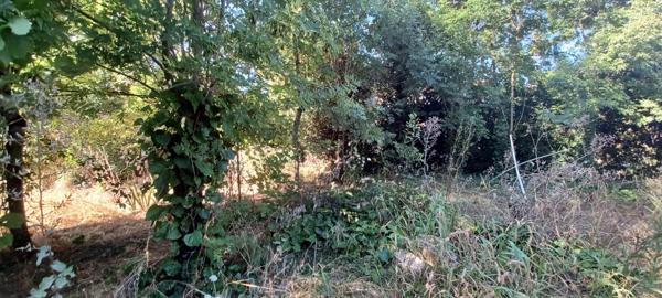 MAISON A RENOVER-7 RUE DES TULIPES-LA ROCHELLE-ST ELOI