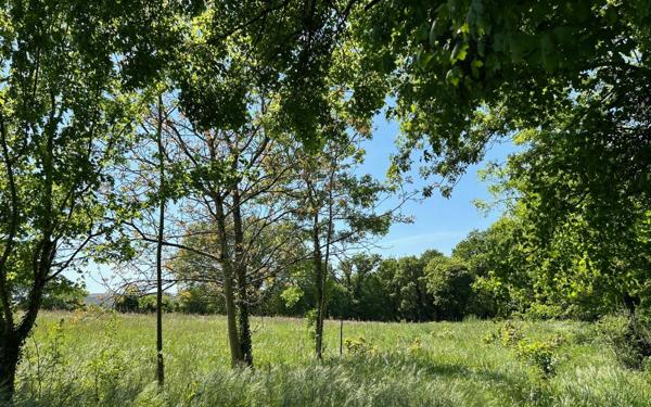 Terrain à vendre    Pont-l'Abbé-d'Arnoult
