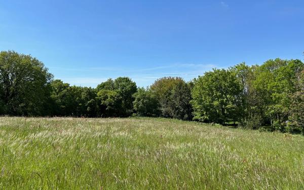 Terrain à vendre    Pont-l'Abbé-d'Arnoult