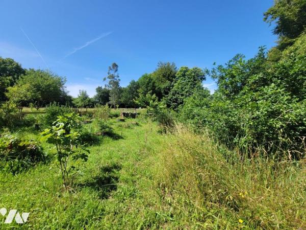 Maison rénovée avec goût en campagne