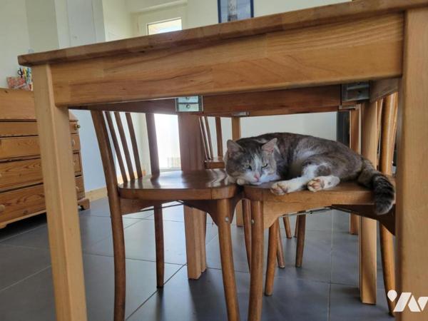 Maison rénovée avec goût en campagne