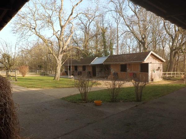 Domaine équestre