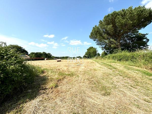 79200 LE TALLUD EXCLUSIVITE - Terrain à bâtir au Tallud