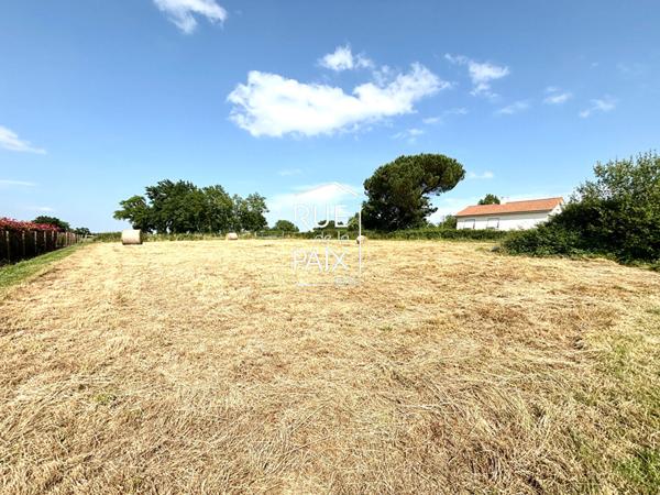 79200 LE TALLUD EXCLUSIVITE - Terrain à bâtir au Tallud