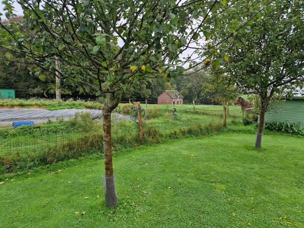 Secteur Bolbec, à Gruchet le Valasse : maison de 105m² sur 4000m² au calme