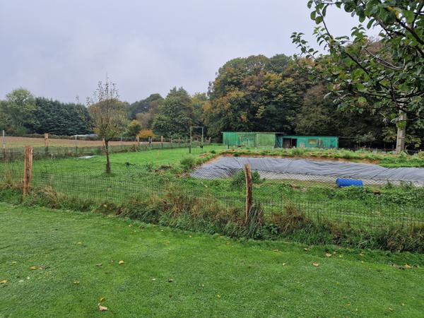 Secteur Bolbec, à Gruchet le Valasse : maison de 105m² sur 4000m² au calme