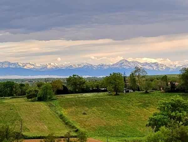 Vente / Maison contemporaine