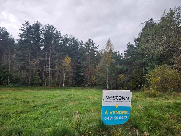 EXCLUSIVITE ! LAPTE Terrain constructible de plus de 2000 m2