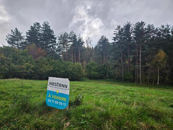 EXCLUSIVITE ! LAPTE Terrain constructible de plus de 2000 m2