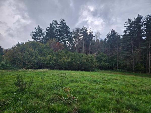 EXCLUSIVITE ! LAPTE Terrain constructible de plus de 2000 m2