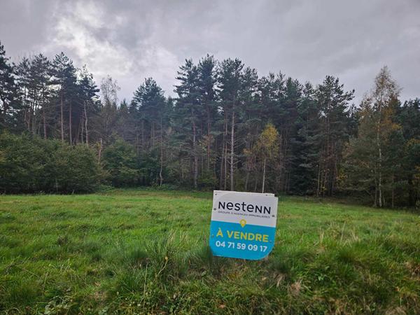 EXCLUSIVITE ! LAPTE Terrain constructible de plus de 2000 m2