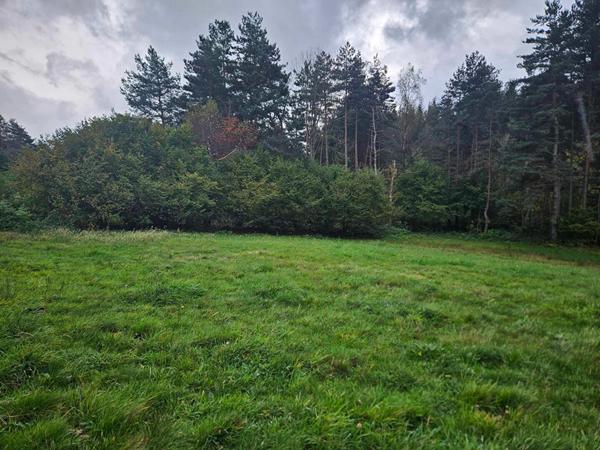 EXCLUSIVITE ! LAPTE Terrain constructible de plus de 2000 m2