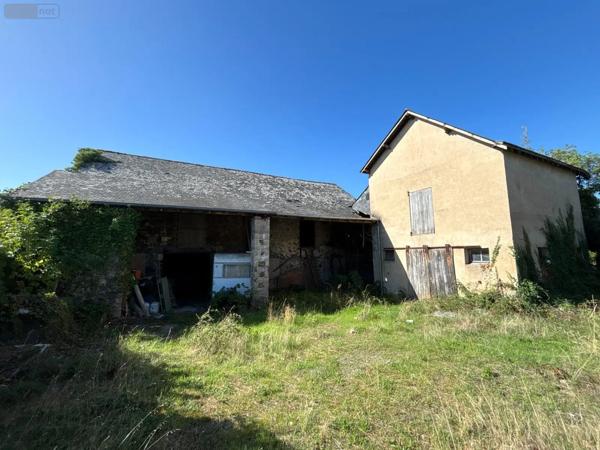 Achat - Maison Beaulieu-sur-Layon 49750 300 m 2 1200 m 2