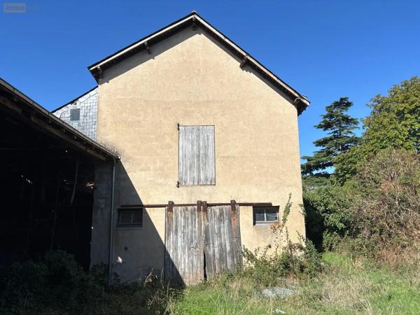 Achat - Maison Beaulieu-sur-Layon 49750 300 m 2 1200 m 2