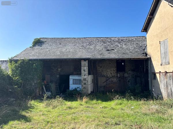 Achat - Maison Beaulieu-sur-Layon 49750 300 m 2 1200 m 2