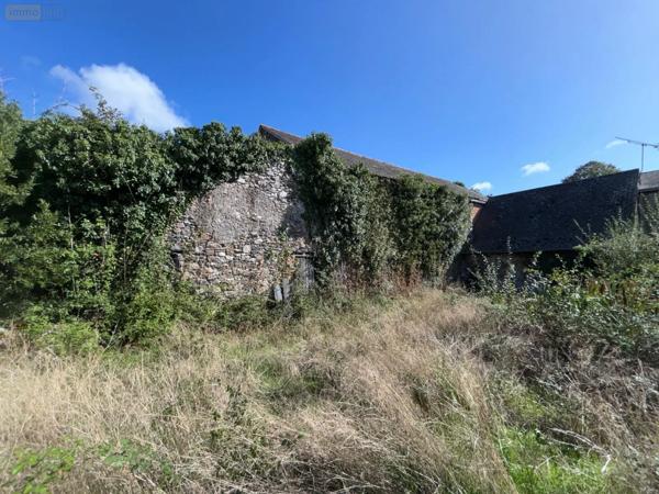 Achat - Maison Beaulieu-sur-Layon 49750 300 m 2 1200 m 2