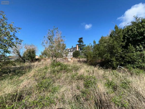 Achat - Maison Beaulieu-sur-Layon 49750 300 m 2 1200 m 2