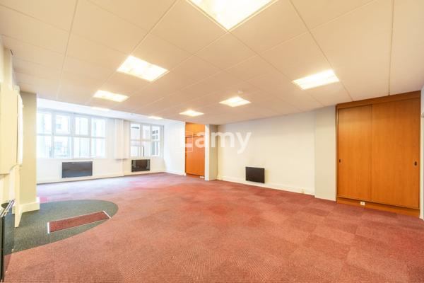 Local professionnel / commercial