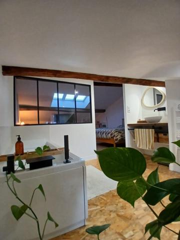 Maison Aurillac Atypique avec du cachet et de grands volumes , Aurillac