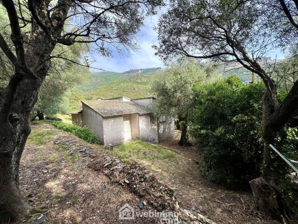 Maison 90 m² à Brando 20222