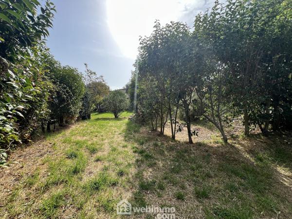 Maison 90 m² à Brando 20222