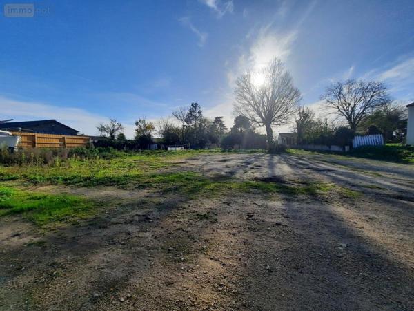 Terrain à Batir à vendre à Sallertaine en Vendée (85300), ref : 85091-5187