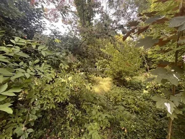 Vente                                                      Maison
                        
                     6 pièces                      190 m2                     à Montgermont
