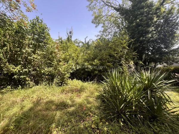 Vente                                                      Maison
                        
                     6 pièces                      190 m2                     à Montgermont
