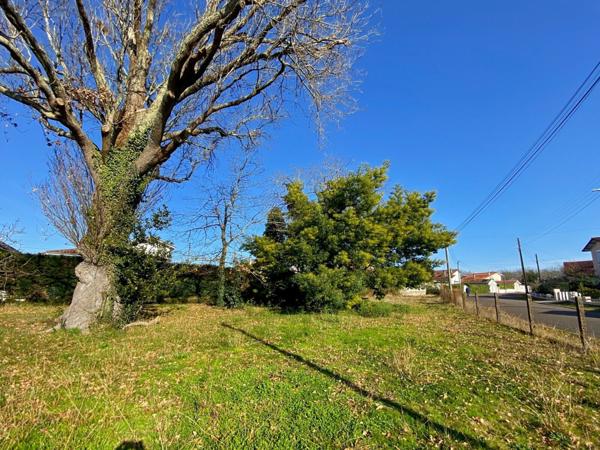 Terrain à vendre    Mont-de-Marsan