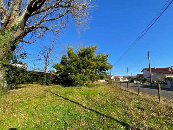 Terrain à vendre    Mont-de-Marsan