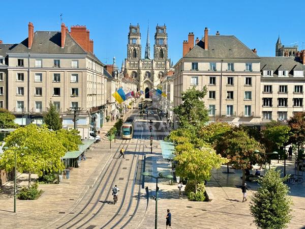 Centre ville d'Orléans , appartement de 3 pièce(s) , surface 80 m2
