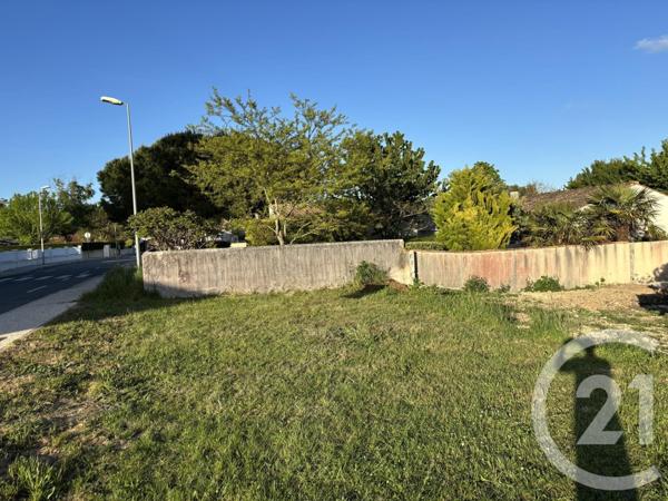 Terrain à vendre  333 m2 ST GEORGES D OLERON - 17