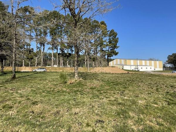 Terrain à Batir à vendre à Saint-Congard dans le Morbihan (56140), ref : 37f