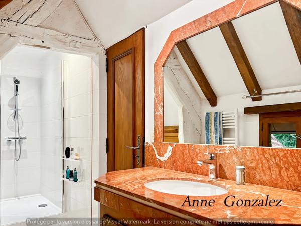 Propriete à vendre 9 pièces ARDON (45)