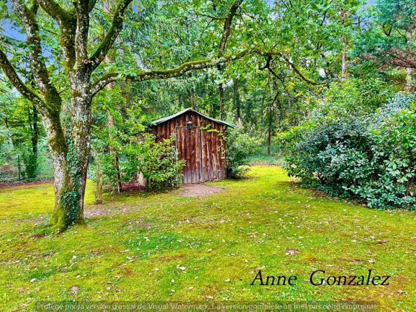 Propriete à vendre 9 pièces ARDON (45)