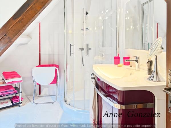 Propriete à vendre 9 pièces ARDON (45)