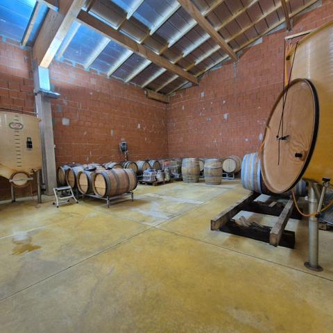 Domaine viticole Perpignan