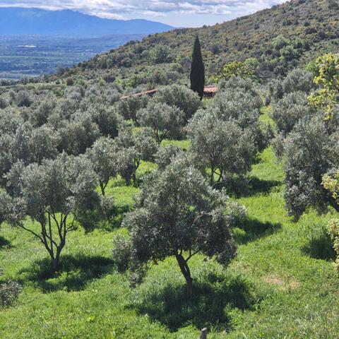 Domaine viticole Perpignan