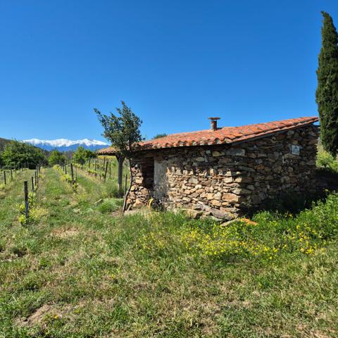 Domaine viticole Perpignan
